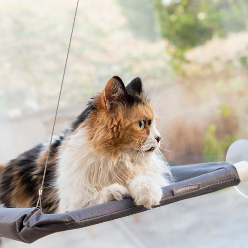 Hamaca colgante para gatos