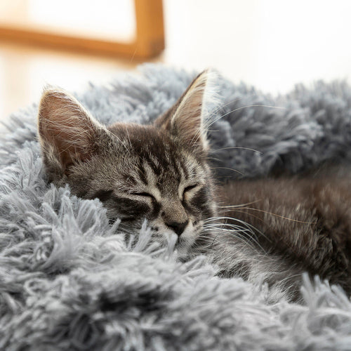 Cama antiestrés para mascotas Ø 60 cm