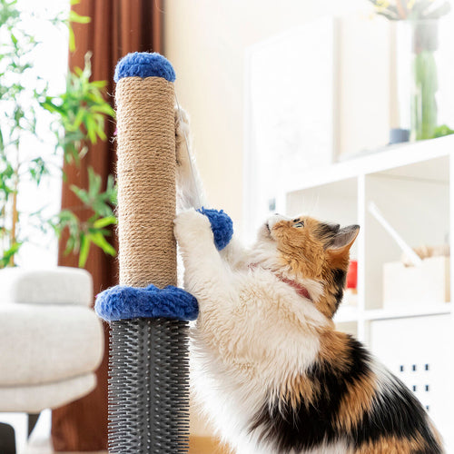 Poste rascador y masajeador para gatos