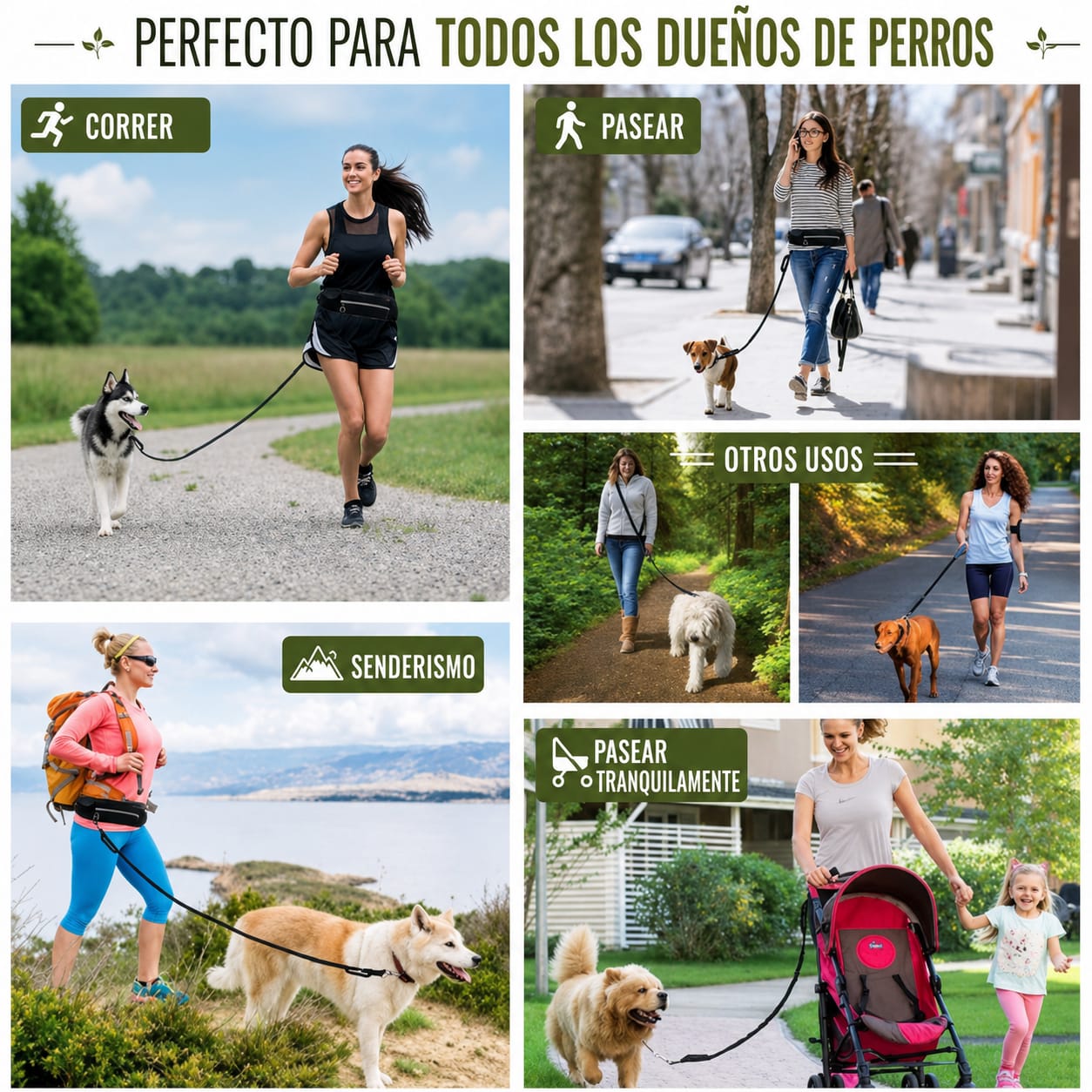Correa manos libres para perros